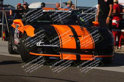 media/Oct-14-2023-Lucky Dog Racing (Sat) [[cef75db616]]/1-Around the Pits/